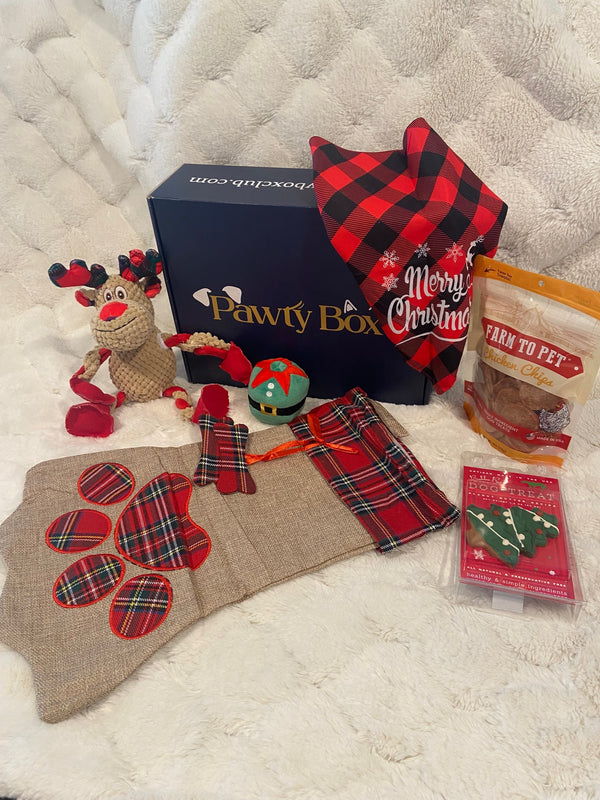Christmas Pawty Box (Pre-Order)