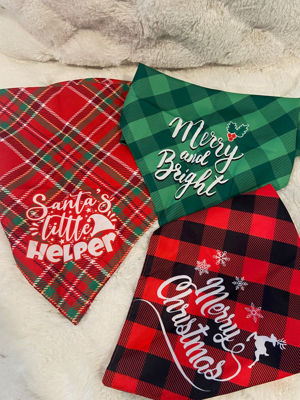 Christmas Pawty Box (Pre-Order)