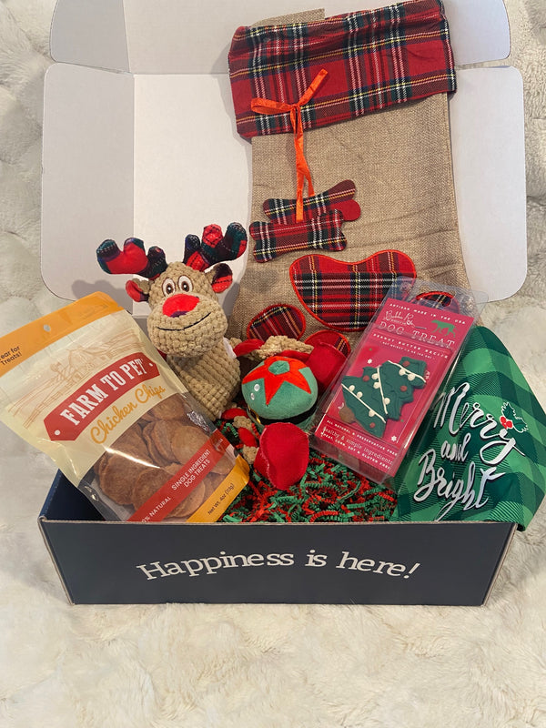 Christmas Pawty Box (Pre-Order)